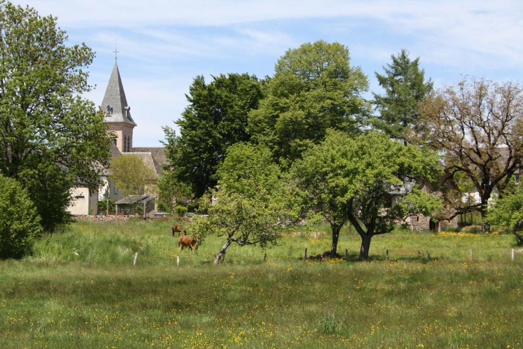 Auberge De Saint Julien Aux Bois Exteriér fotografie
