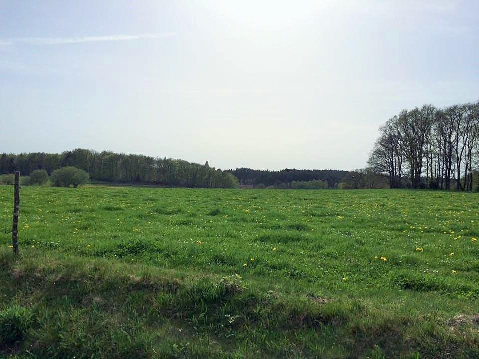 Auberge De Saint Julien Aux Bois Exteriér fotografie