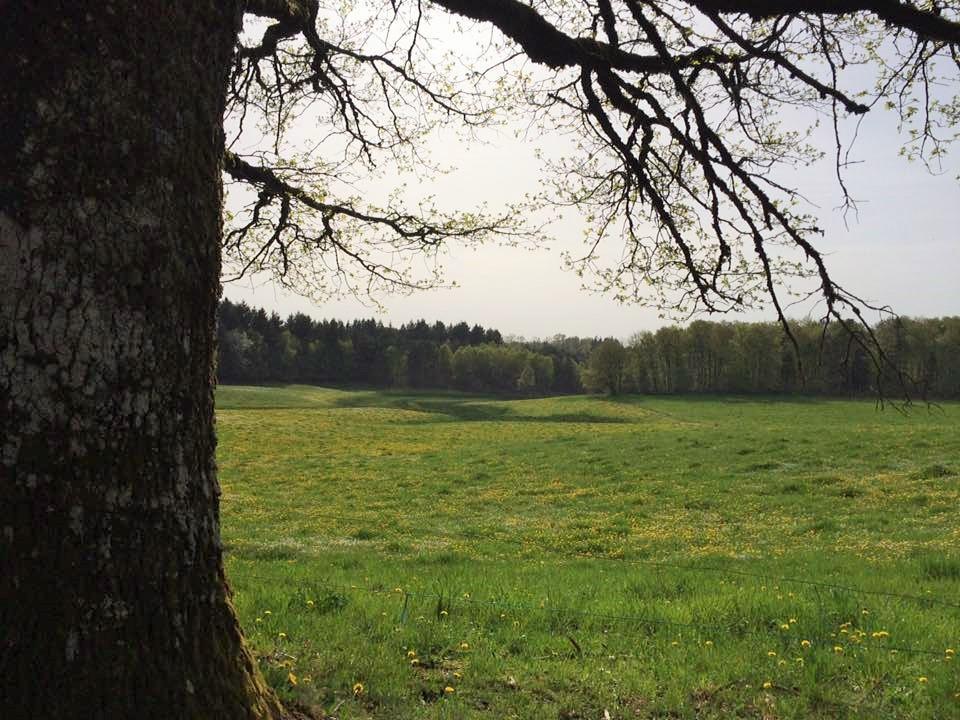 Auberge De Saint Julien Aux Bois Exteriér fotografie
